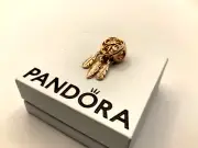 Pandora 787200C00 Spiritual Dreamcatcher Charm