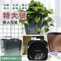 在飛比找momo購物網優惠-【fioJa 費歐家】園藝植作 G113-方型集水花盆 仿金