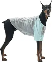 Lucky Petter Dog Shirt for Small and Large Dogs Raglan Cotton T-Shirts Soft Breathable Dog Shirts pet Clothes Gray Series (3X-Large, Gray/Mint)