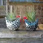 Resin Yard Art Ornaments Chicken Flower Pot Small Succulent Container Backyard