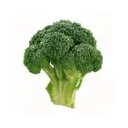 Organic Broccoli Whole Kg – Fresh, healthy organic delivery | Doorstep Organics
