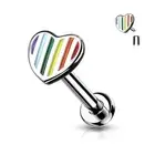 Rainbow Striped Heart Internally Threaded Surgical Steel Flat Back Stud Earring