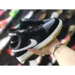 KRFP 耐吉 ANMYNA SHOP NIKE DUNK SB LOW CUT“海岸”多色男女運動鞋 2020