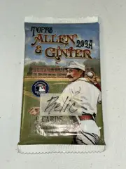 2024 TOPPS ALLEN & GINTER Relic/Auto/Patch/Cut HOT PACK Jasson Dominguez ?