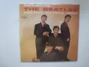 THE BEATLES - INTRODUCUNG...THE BEATLES ENGLANDS NO.1 NEW PAPER SLEEVE CD US