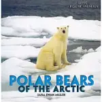 POLAR BEARS OF THE ARCTIC