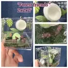 Jumping Spider Sling Enclosure "forest Friends"￼