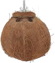 INOOMP 1PC Natural Coconut Shell Birds Nest for Parrots Safe and Practical Biting Plaything for Birds Easy Installation Durable Natural Material Comfortable Habitat