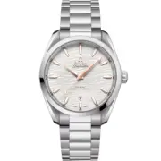Omega Seamaster Aqua Terra 150m Co-Axial Master Chronometer 220.10.38.20.02.002