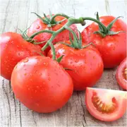 Tomato - Silvery Fir Tree seeds