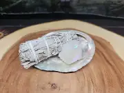 Large Abalone Shell 5-6": Smudging Sage Sticks Display Sea Shell W/Quartz Point