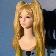 Female Mannequin Head Manikin Wig Head and Makeup Hat Display Rack Smooth Wig