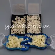 Dental Temporary Crowns Synthetic Assorted Resin Teeth Veneers Anterior & Molar