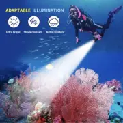 Diving Light Max 1000 Lumen Dive Flashlight, IPX8 Waterproof Scuba Dive Light