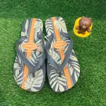 [喬比熊]HAVAIANAS 哈瓦仕 ALOHA FLIP FLOPS 熱帶雨林款男款人字拖鞋