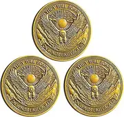 Isaiah 40:31 Eagle Challenge Coin - Inspirational They Will Soar on Wings Like Eagles Coin with Protective Case (Pack of 3)