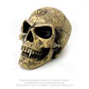 Alchemist's Omega Skull Life Size Aged Bone Vampire Sculpture Alchemy Vault