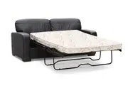 FUTURE Leather 2 Seater Sofa Bed