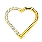 16G G23 Titanium Daith Piercing Jewelry Heart Clicker Cartilage Tragus Earrin...