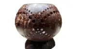 Flower Basket coconut shell pot Orchid Garden Decor DIY Vase Shell Balcony