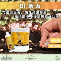 在飛比找蝦皮購物優惠-現貨【超取免運】B1+活力素 4公升/20公升 微綠 開根劑