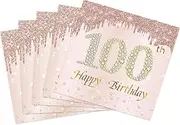40PCS 100th Birthday Napkins Rose Gold Theme 100 Year Old Birthday Decorations for Women natal day Wedding Anniversary Party Supplies 2-Ply
