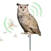 2D Owl Decoy Bird Deterrent Devices Scare Birds Away Repellent For Garden