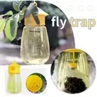 Fruit Fly Control Monitor Traps ~~ Fruit / Bar / Flies Gnats Etc H8P