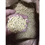 黃豆  非基因改造黃豆 食用級 FOOD-GRADE SOYBEAN