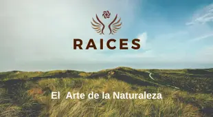 Raices Ongamira