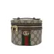 Gucci Ophidia GG 皮革飾邊化妝包/手提包(627463-烏木色)