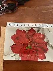 Fringe Studio Red Amaryllis Flower Glass Tray 12 X 8.5