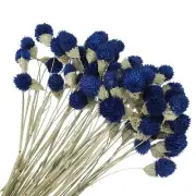 60 Pcs 16 Inch Dried Flowers for Vase Mini Pine Ball Flowers Navy Blue