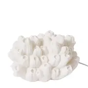 [James Lane] Coral Sea Lotus Lamp