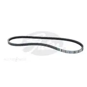 Gates Green Stripe Truck and Bus Series V-Belt - TR28583