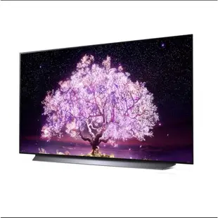 ■正宏電器行■聊聊可優惠 可議價 LG樂金 OLED55G2PSA  OLEDevo AI 4K 語音物聯網電視 55吋