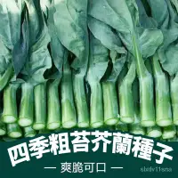 在飛比找蝦皮購物優惠-🍓台灣💋四季可種  蔬菜種子 芥藍種子 芥蘭菜種子 甜脆芥蘭