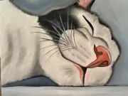 Original oil painting artwork 11 X 14 inches black and white cat sleeping