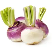 Turnip Fresh each