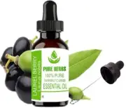 Pure Herbs Laurel Berry 100% Pure and Natural Laurus Nobilis Essential Oil