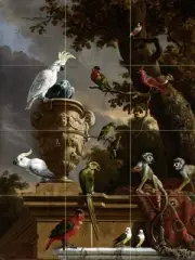 Birds parrot monkey Tile Mural Kitchen Bathroom Wall Backsplash Marble Ceramic