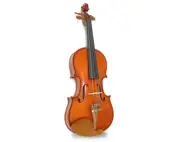 Half Size Acoustic Violin 1/2 with Case Bow Bridge Rosin Microtuners MV105-1/2