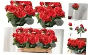 Artificial Flowers for Outdoors 14'' Geranium Silk Flower, UV 4 Pack Red
