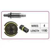 RAE Oxygen Sensor - OX577