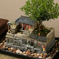 在飛比找樂天市場購物網優惠-文竹盆景植物室內小盆栽客廳辦公室桌面微景觀造景老房子模型擺件