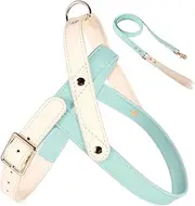 IUOUTG No Pull Dog Harness for Large Dogs with Soft Leather Handle,Escape Proof Quick Fit to Adjust Webbing Dog Halter Harness,Easy for Training Walking