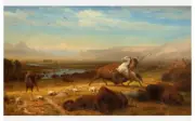 The Last Of The Buffalo Poster by Albert Bierstadt 60x35.5 inches