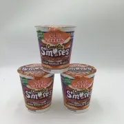 Lot Of 3 CAMPFIRE S'MORES Flavor Nissin Ramen Cup Noodles 3 oz Limited Edition
