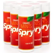 Spry Xylitol Cinnamon Mints Sugar Free Candy for Dry Mouth, 45 Count (Pack of 6)