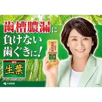 在飛比找松果購物優惠-日本原裝進口小林製藥 2022年新品生葉 齒槽膿漏 潔淨牙膏